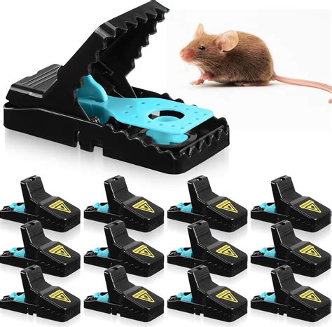 Amazon.com : Kittmip 12 Pcs Mouse Traps for House Indoor Outdoor, Small ...