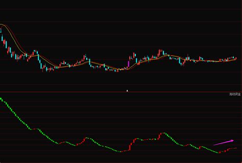 【个股】股票代码603800，综合技术与基本面分析显示看好，预计将迎来一波上涨行情股市实战技术交流论坛_技术指标,股票论坛,技术分析,股票软件 ...