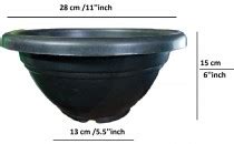 Bonsai Pots