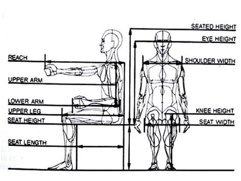 D'source Introduction | Basic Ergonomics in Automotive Design | D ...