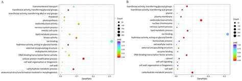 Transcriptome Analysis of Diploid and Autotetraploid Hemerocallis ...