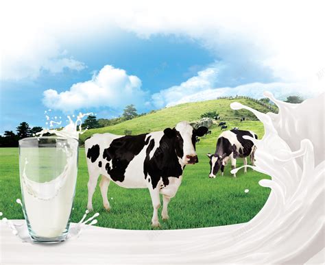 新鲜牛奶品质宣传海报背景背景图片免费下载-素材7QNjeWkVP-新图网