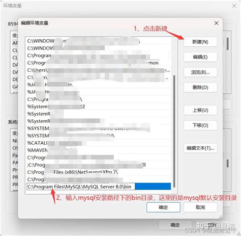 Change MySQL Path Observiun 的图像结果