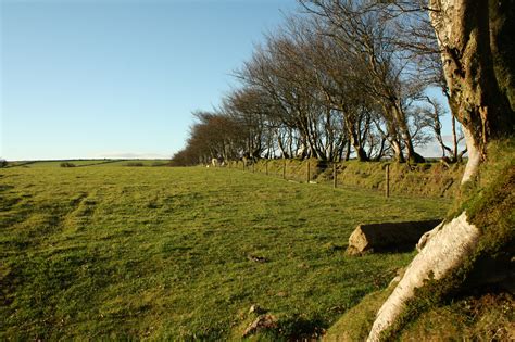 Image result for Example Domain Landscape