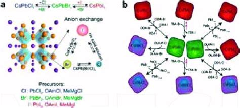 Image result for Anion Exchange Example