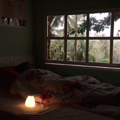 Tik Tok Window Projector 的图像结果