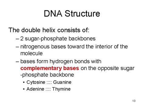 Image result for DNA Basics Explained