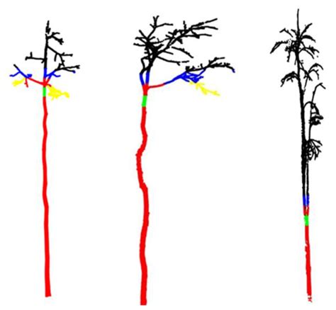 A New Method for Reconstructing Tree-Level Aboveground Carbon Stocks of ...