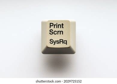 14,179 Print Screen Button Images, Stock Photos & Vectors | Shutterstock