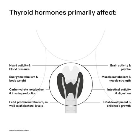Image result for Selenium Function