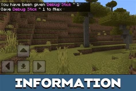 Image result for Debug Stick Commands