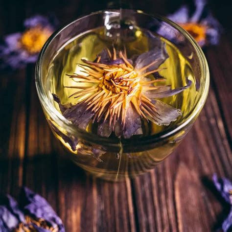 20 Facts About The Lotus Flower - Facts.net