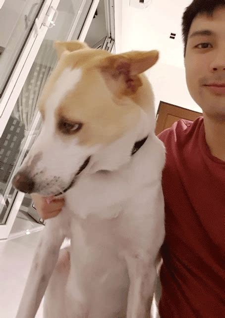 Image result for Body Language Message Relay