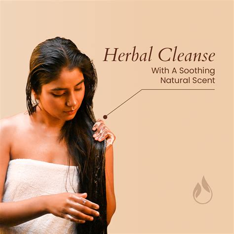 Buy Ayurvedic Bhringraj Shampoo – Panash Wellness