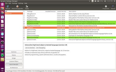 Installing Python 3.9 的图像结果