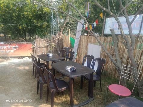 The Jungle Treat, Rohtak - Restaurant reviews