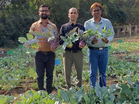 The cultivation experiment was successful even in adverse climate ...