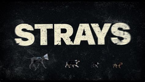 Strays (2023) [4K] | Screencaps.US