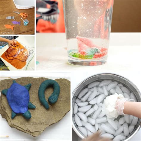 Animal Science Experiments 的图像结果