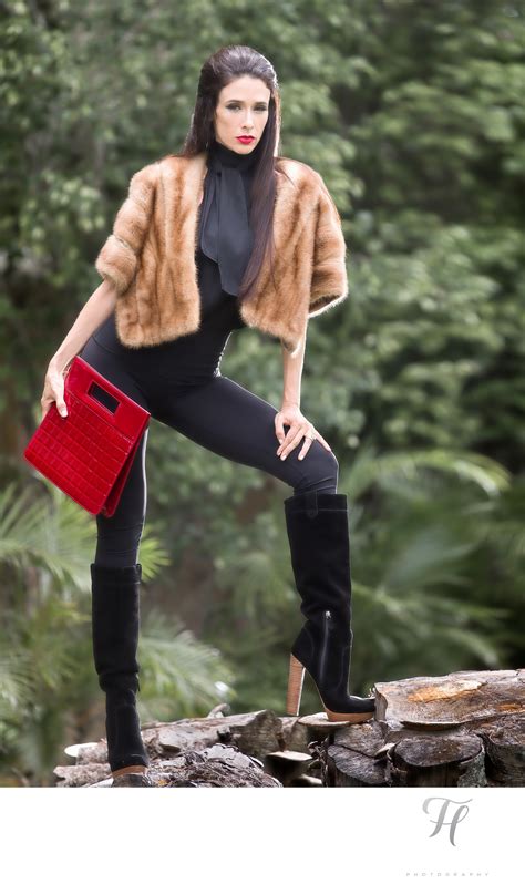 Florida Modeling Network 的图像结果