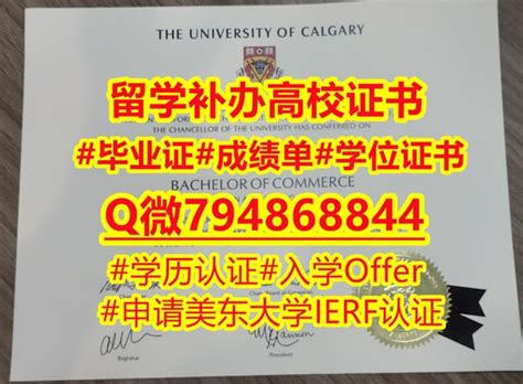 西安大略大学毕业文凭证书烫金工艺 | PPT