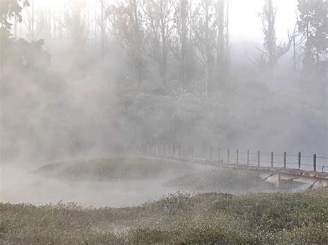 Ooty shivers amid sharp dip in temperatures, frost blankets Tamil Nadu ...