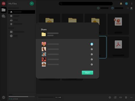 Mega Software Installation 的图像结果