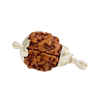 Three Mukhi Rudrasha-benefits-importance-mantra | Himalaya Rudraksha ...