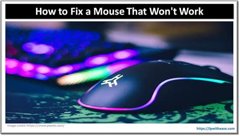 Fix a Mouse Problem 的图像结果