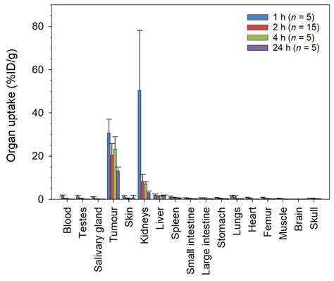 Factors Influencing the Therapeutic Efficacy of the PSMA Targeting ...