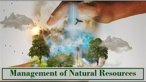 Management of Natural Resources 的图像结果
