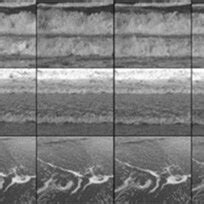 Wave Clips Tutorial 的图像结果