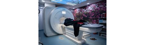 Everything You Need to Know About MRI Scans - Saral