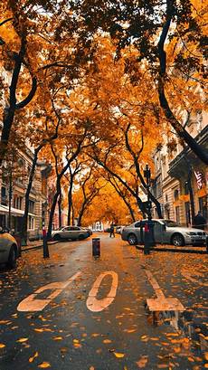 Aesthetic Fall Themed Wallpaper Iphone by Fall Iphone Wallpaper Fall Wallpaper Scenery Autumn Aesthetic Fall Themed Wallpaper Iphone