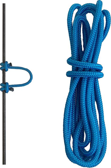 Bow String D-loop 的图像结果