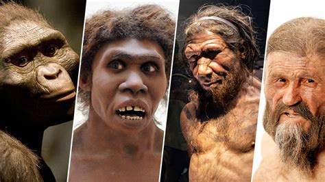 First Humans 的图像结果