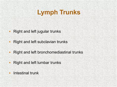Image result for Lymph trunk Lymphatic System