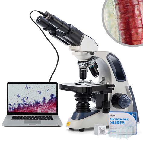 Image result for Swift Microscope Camera Software
