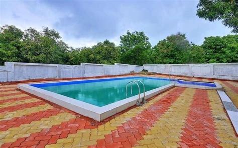 Gir National Park 2023 Guide: Get Info About Asiatic Lions' Kingdom