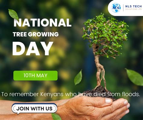 Tree-Planting Day 的图像结果