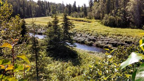 THE 5 BEST Places to Visit in Nikiski (2026) - Must-See Attractions