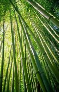 best photography images in the world