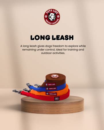 Buy Pets Like Nylon Poly Collar,Maroon (32Mm),Dog Online at Low Prices ...