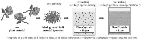 PlantCrystals—Nanosized Plant Material for Improved Bioefficacy of ...