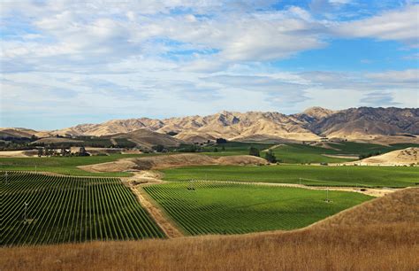 Marlborough Wine Region, New Zealand | Winetourism