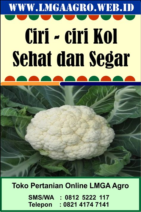 Ciri Ciri Sperma Sehat: Rahasia Tersembunyi untuk Plod yang Abundan