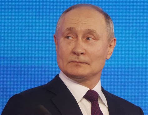 Putin 的图像结果