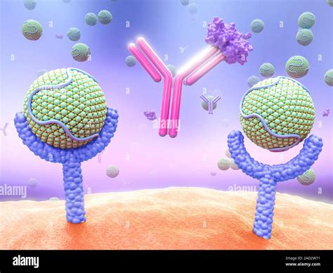 PCSK9 inhibitor and high cholesterol. Computer illustration of low-density lipoprotein (LDL ...