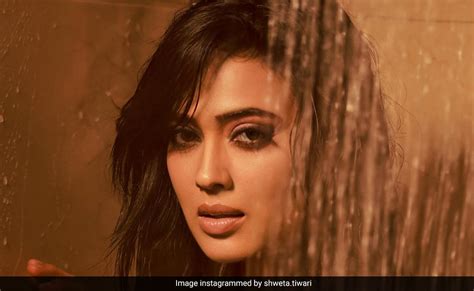 श्वेता तिवारी ने शेयर किया लेटेस्ट फोटोशूट तो एक्ट्रेस का अंदाज देख ...