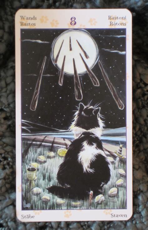 Eight of Wands ~ Tarot Card For Wednesday! | Daily Tarot Girl